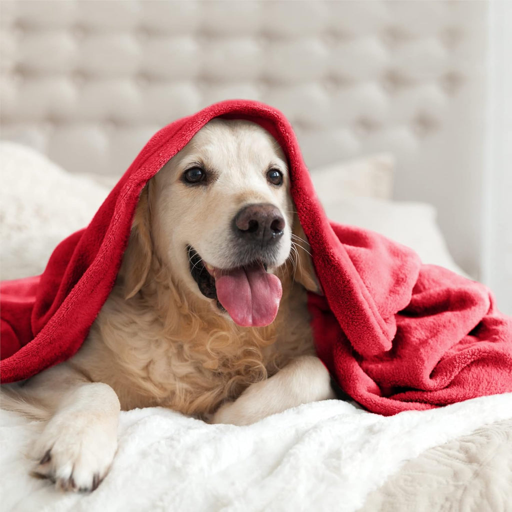 Fleece Blanket Red Throw Blanket for Couch & Bed, Luxury Plush Cozy Fuzzy Blanket 50" X 60", Super Soft Warm Lightweight Throw Blanket for Travel Camping